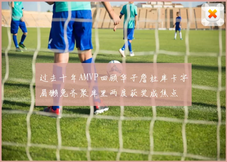 过去十年AMVP回顾华子詹杜库卡字眉獭兔齐聚库里两度获奖成焦点
