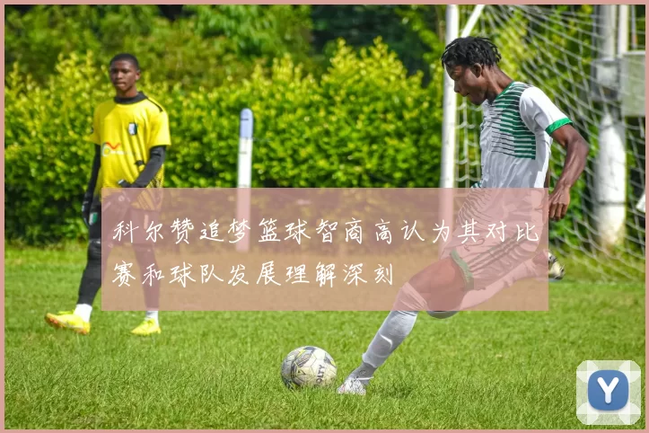 科尔赞追梦篮球智商高认为其对比赛和球队发展理解深刻